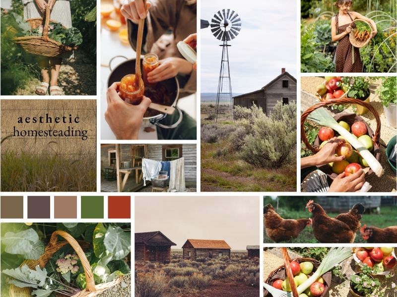 Homestead Mood Board for Pinterest Inspiration A mood board collage of homesteading imagery—featuring a rustic farmhouse, fresh eggs, homemade bread, vegetable garden, and canning jars—capturing the warm, handmade vibe of homestead life. Perfect inspiration for Pinterest branding for homesteaders.